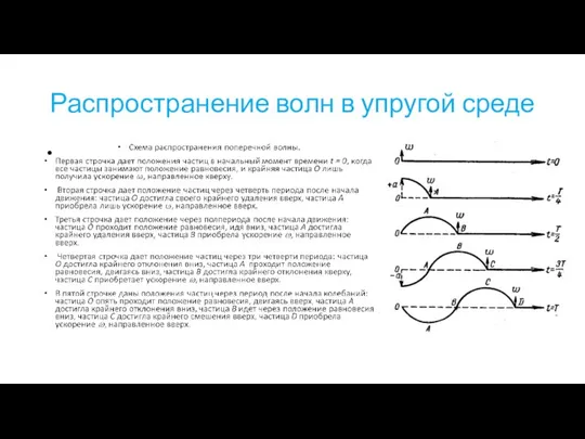 Распространение волн в упругой среде