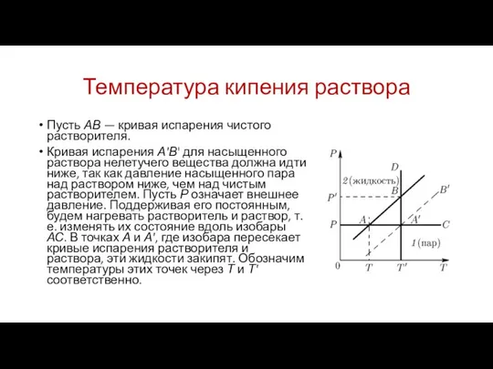 Температура кипения раствора Пусть АВ — кривая испарения чистого растворителя. Кривая