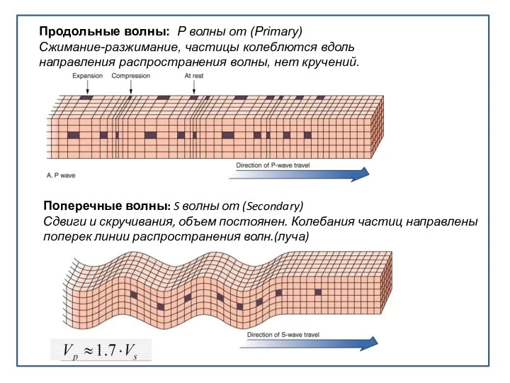 Продольные волны: P волны от (Primary) Сжимание-разжимание, частицы колеблются вдоль направления