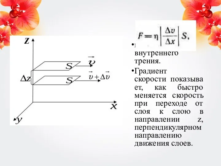 модуль силы внутреннего трения. Градиент скорости показывает, как быстро меняется скорость