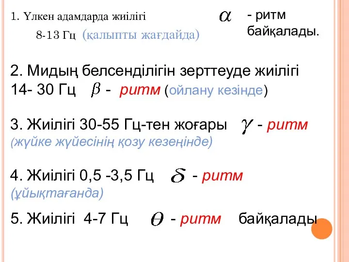 1. Үлкен адамдарда жиілігі 8-13 Гц (қалыпты жағдайда) - ритм байқалады.