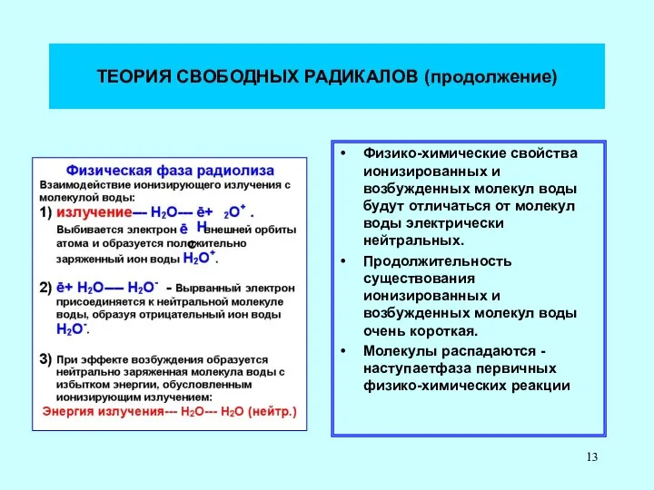 ТЕОРИЯ СВОБОДНЫХ РАДИКАЛОВ (продолжение) Физико-химические свойства ионизированных и возбужденных молекул воды