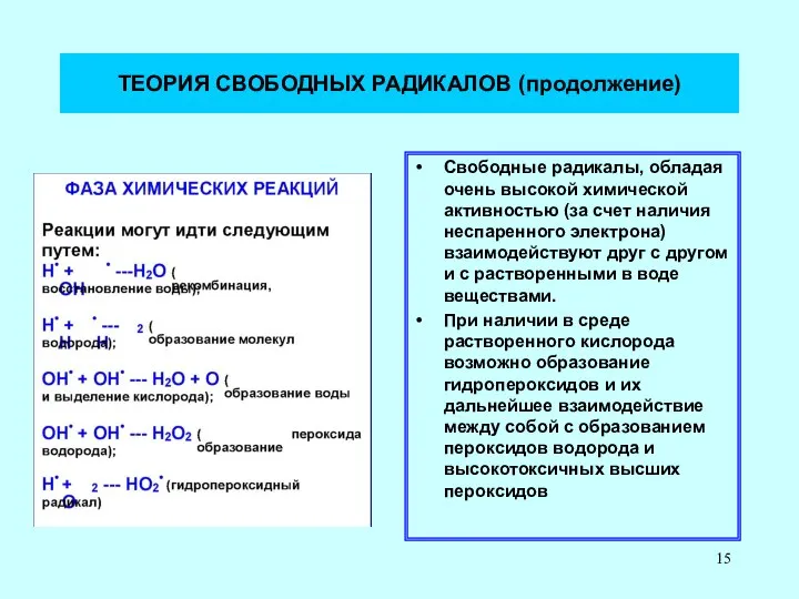 ТЕОРИЯ СВОБОДНЫХ РАДИКАЛОВ (продолжение) Свободные радикалы, обладая очень высокой химической активностью