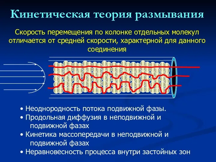 Кинетическая теория размывания Скорость перемещения по колонке отдельных молекул отличается от