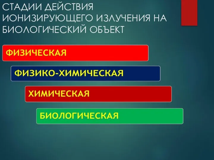 СТАДИИ ДЕЙСТВИЯ ИОНИЗИРУЮЩЕГО ИЗЛУЧЕНИЯ НА БИОЛОГИЧЕСКИЙ ОБЪЕКТ