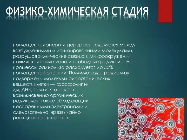 поглощенная энергия перераспределяется между возбуждёнными и ионизированными молекулами, разрушая химические связи,а