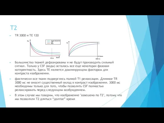 T2 TR 3000 и TE 120 Большинство тканей дефазированы и не