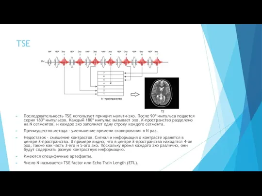 TSE Последовательность TSE использует принцип мульти-эхо. После 90º импульса подается серия
