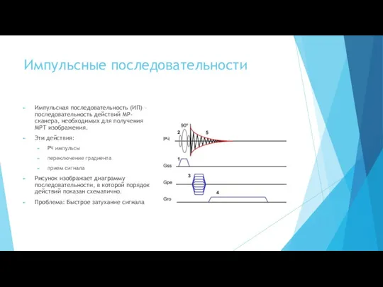 Импульсные последовательности Импульсная последовательность (ИП) – последовательность действий МР-сканера, необходимых для