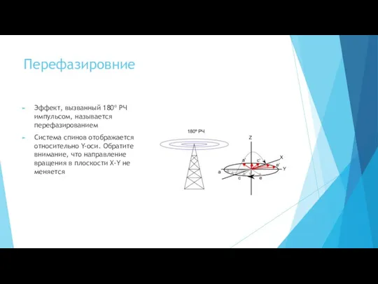 Перефазировние Эффект, вызванный 180º РЧ импульсом, называется перефазированием Система спинов отображается