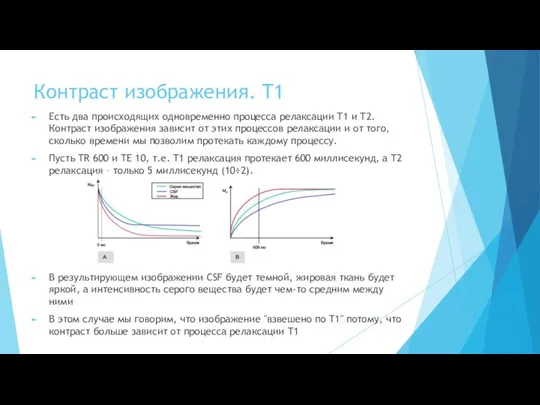 Контраст изображения. T1 Есть два происходящих одновременно процесса релаксации T1 и