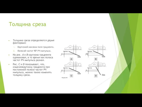 Толщина среза Толщина среза определяется двумя факторами: Крутизной наклона поля градиента.