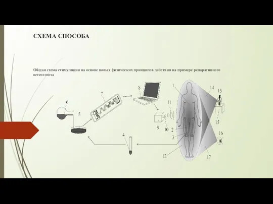 СХЕМА СПОСОБА Общая схема стимуляции на основе новых физических принципов действия на примере репаративного остеогенеза