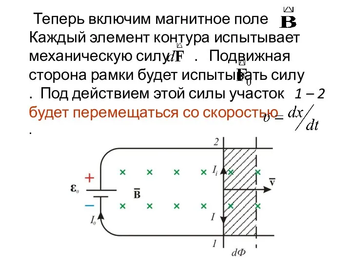 Теперь включим магнитное поле . Каждый элемент контура испытывает механическую силу