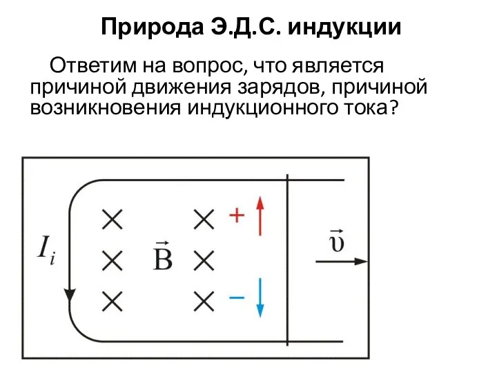 Природа Э.Д.С. индукции Ответим на вопрос, что является причиной движения зарядов, причиной возникновения индукционного тока?