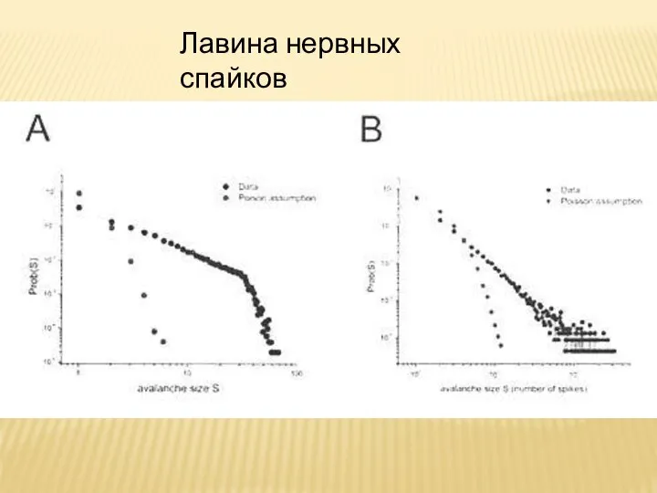 Лавина нервных спайков