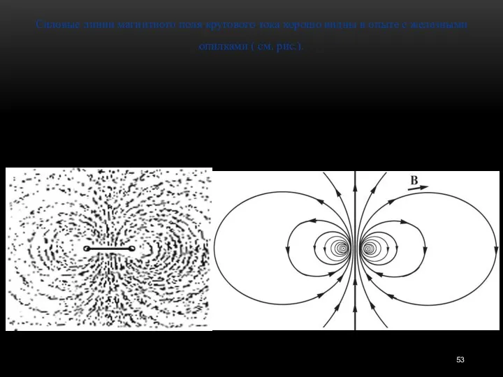 Силовые линии магнитного поля кругового тока хорошо видны в опыте с железными опилками ( см. рис.).