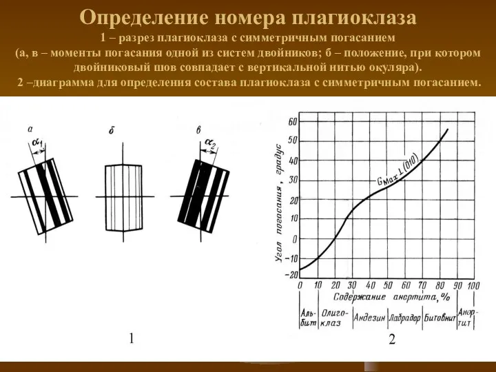 Определение номера плагиоклаза 1 – разрез плагиоклаза с симметричным погасанием (а,