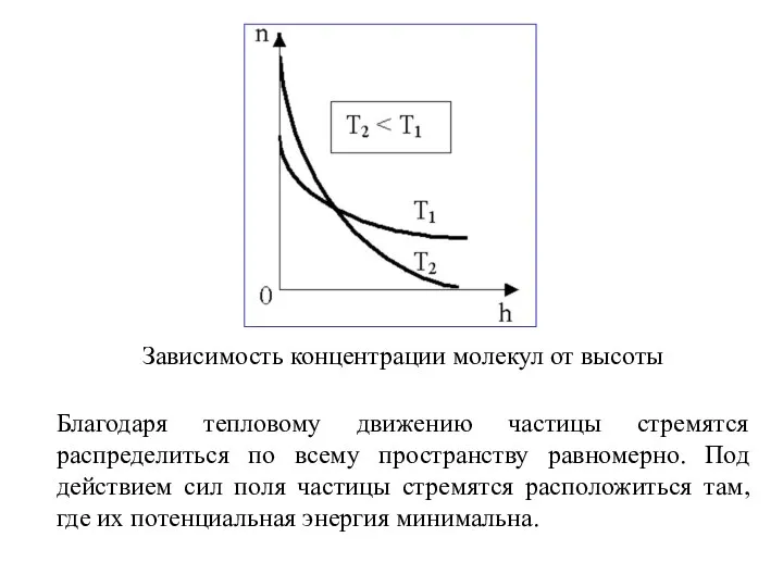 Зависимость концентрации молекул от высоты Благодаря тепловому движению частицы стремятся распределиться