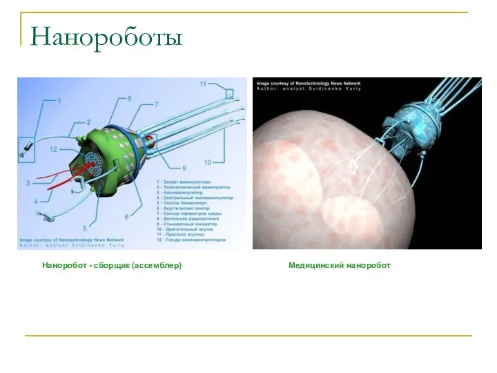 Нанороботы Медицинский наноробот Наноробот - сборщик (ассемблер)