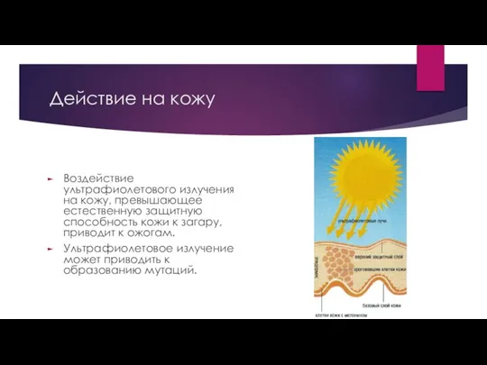 Действие на кожу Воздействие ультрафиолетового излучения на кожу, превышающее естественную защитную