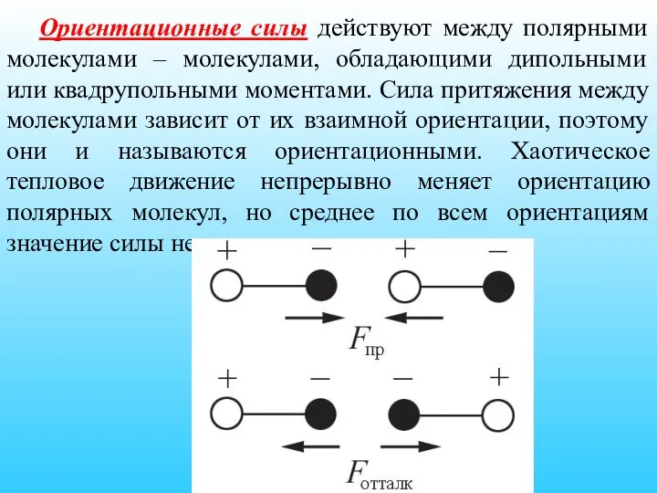 Ориентационные силы действуют между полярными молекулами – молекулами, обладающими дипольными или