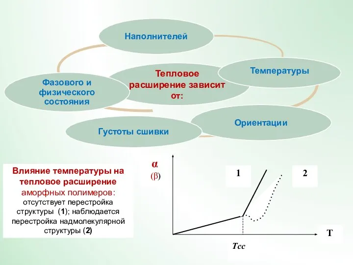 Влияние температуры на тепловое расширение аморфных полимеров: отсутствует перестройка структуры (1); наблюдается перестройка надмолекулярной структуры (2)