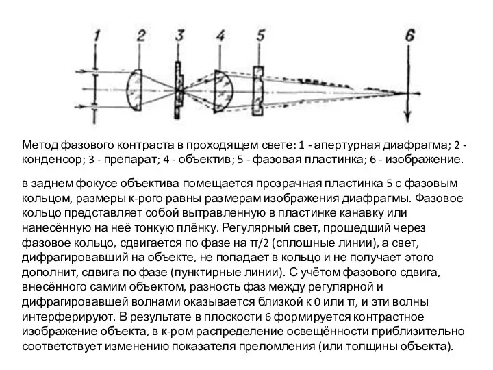 Метод фазового контраста в проходящем свете: 1 - апертурная диафрагма; 2