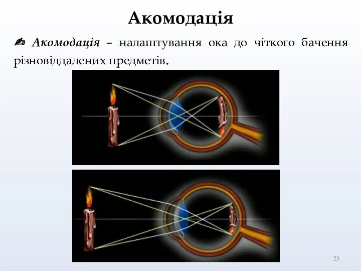 Акомодація ✍ Акомодація – налаштування ока до чіткого бачення різновіддалених предметів.