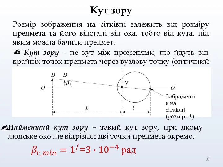 Кут зору Розмір зображення на сітківці залежить від розміру предмета та