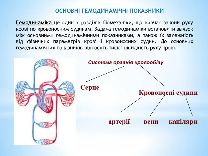 ОСНОВНІ ГЕМОДИНАМІЧНІ ПОКАЗНИКИ Гемодинаміка це один з розділів біомеханіки, що вивчає