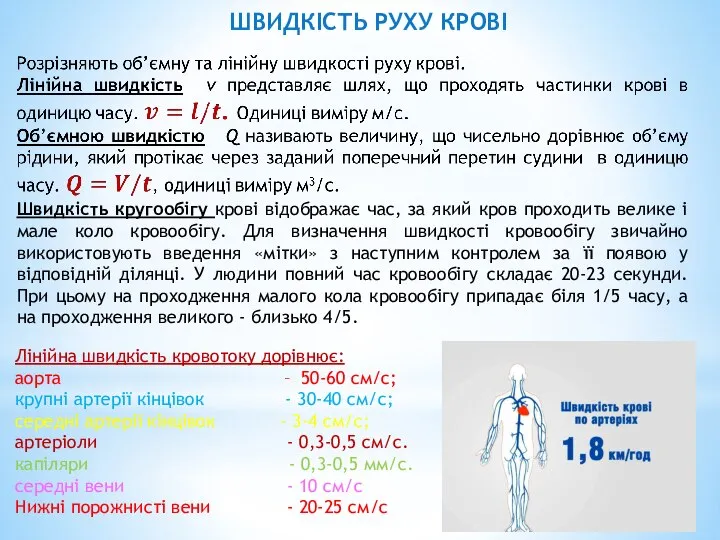 Лінійна швидкість кровотоку дорівнює: аорта – 50-60 см/с; крупні артерії кінцівок