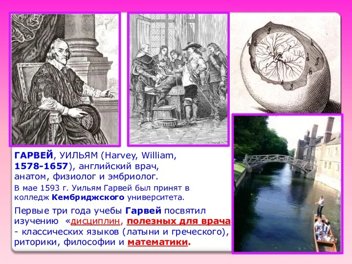 ГАРВЕЙ, УИЛЬЯМ (Harvey, William, 1578-1657), английский врач, анатом, физиолог и эмбриолог.