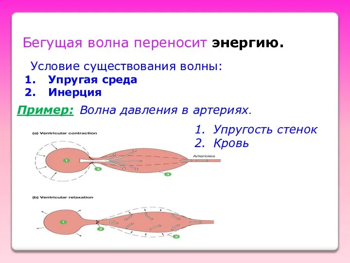 Бегущая волна переносит энергию. Условие существования волны: Упругая среда Инерция Пример: