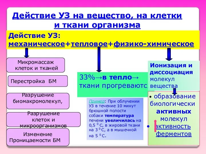 Действие УЗ на вещество, на клетки и ткани организма Действие УЗ: