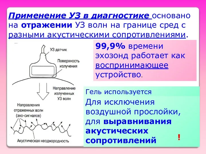 Применение УЗ в диагностике основано на отражении УЗ волн на границе