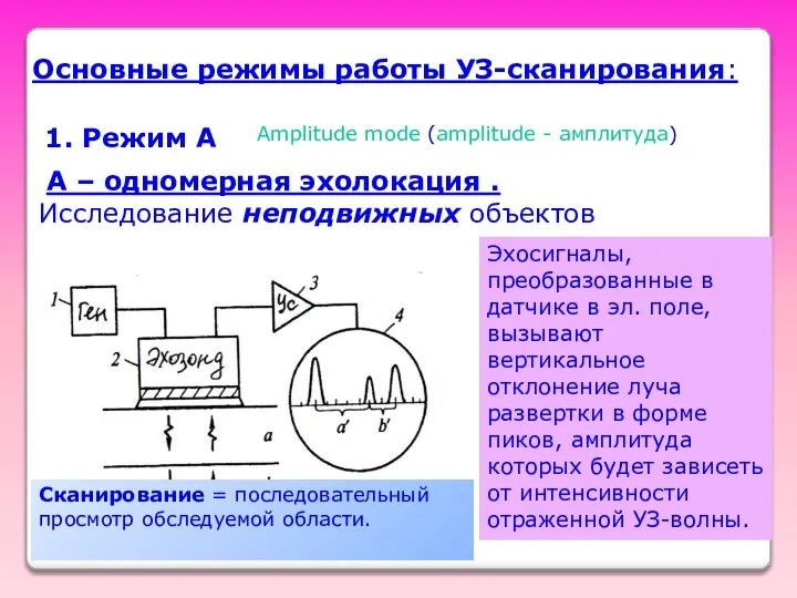 Основные режимы работы УЗ-сканирования: А – одномерная эхолокация . Исследование неподвижных