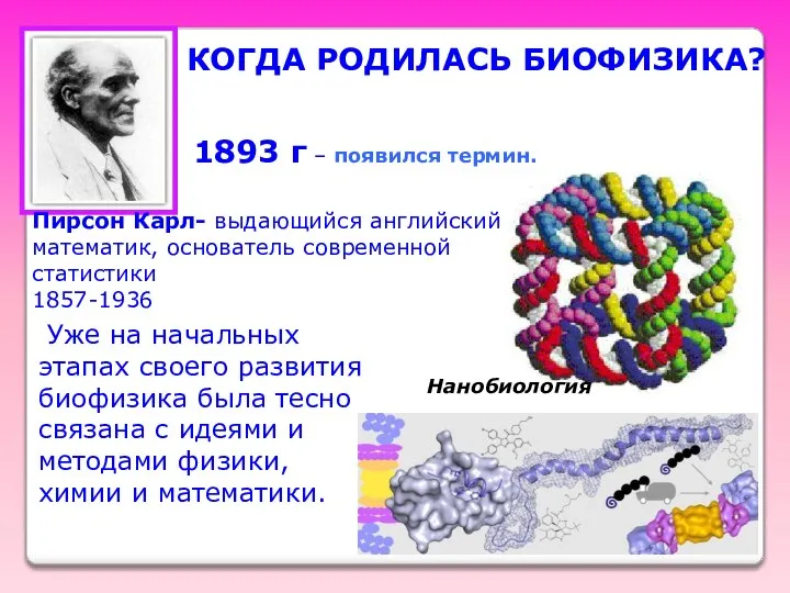 КОГДА РОДИЛАСЬ БИОФИЗИКА? 1893 г – появился термин. Пирсон Карл- выдающийся