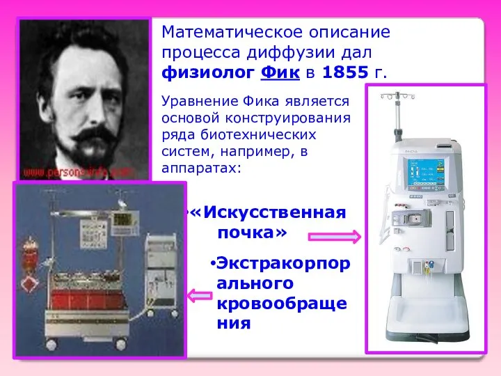 Математическое описание процесса диффузии дал физиолог Фик в 1855 г. Уравнение