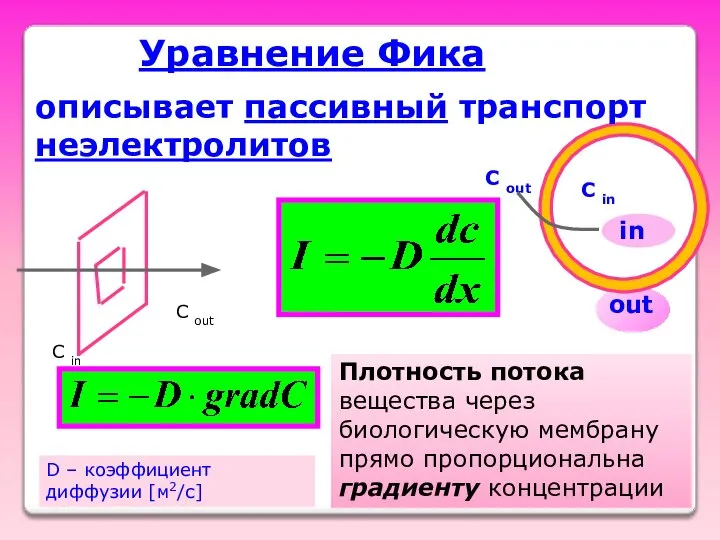 Уравнение Фика описывает пассивный транспорт неэлектролитов C out C in C