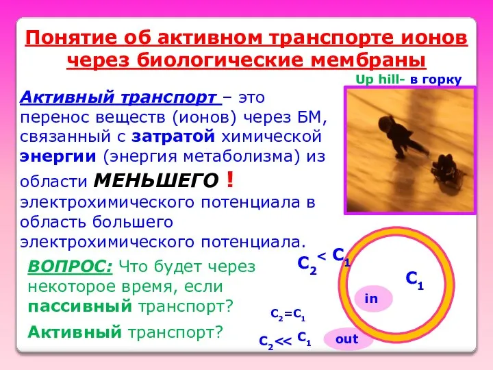 out Понятие об активном транспорте ионов через биологические мембраны C2=С1 in