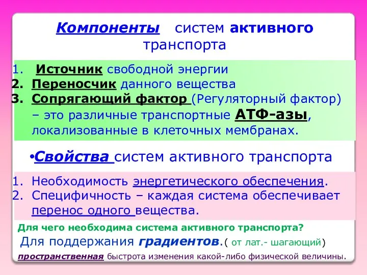 Компоненты систем активного транспорта Источник свободной энергии Переносчик данного вещества Сопрягающий