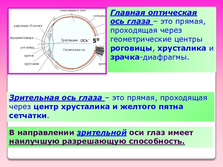 Главная оптическая ось глаза – это прямая, проходящая через геометрические центры