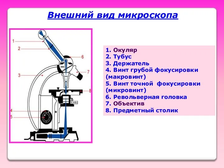 1. Окуляр 2. Тубус 3. Держатель 4. Винт грубой фокусировки (макровинт)