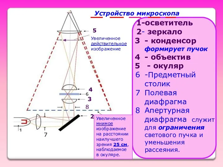 1-осветитель 2- зеркало - конденсор формирует пучок - объектив - окуляр