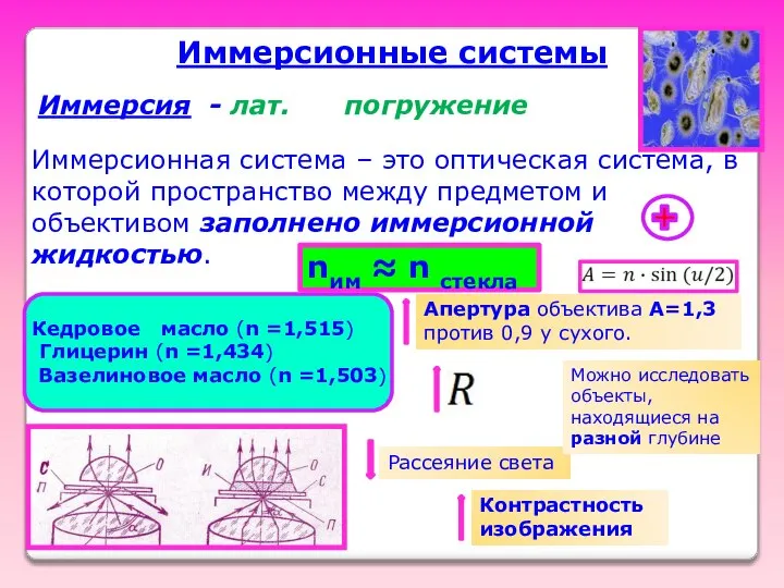 Иммерсионные системы Иммерсия - лат. погружение Иммерсионная система – это оптическая