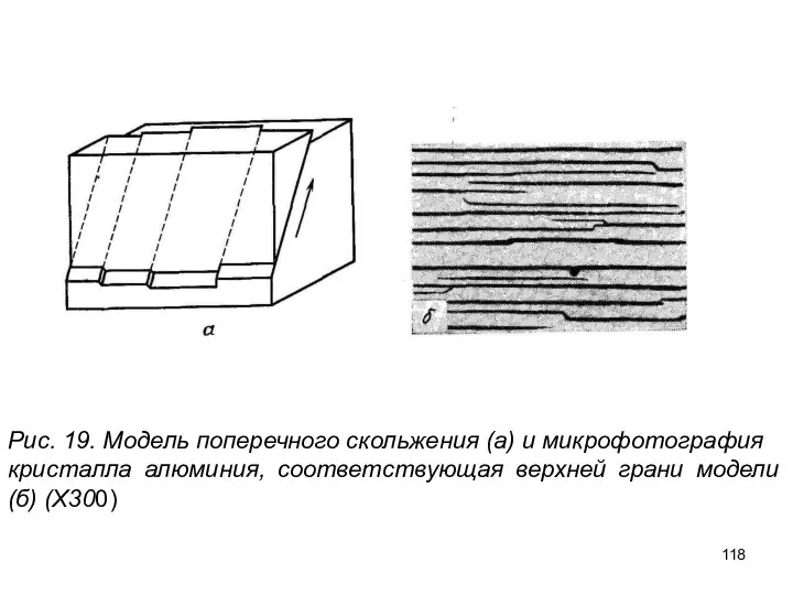 Рис. 19. Модель поперечного скольжения (а) и микрофотография кристалла алюминия, соответствующая верхней грани модели (б) (Х300)