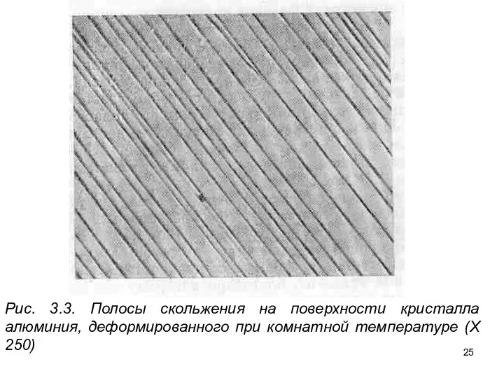 Рис. 3.3. Полосы скольжения на поверхности кристалла алюминия, деформированного при комнатной температуре (Х 250)