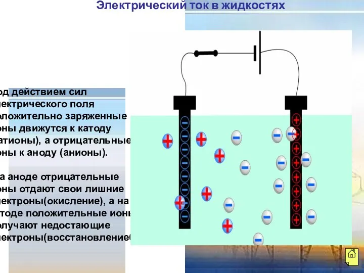 Под действием сил электрического поля положительно заряженные ионы движутся к катоду