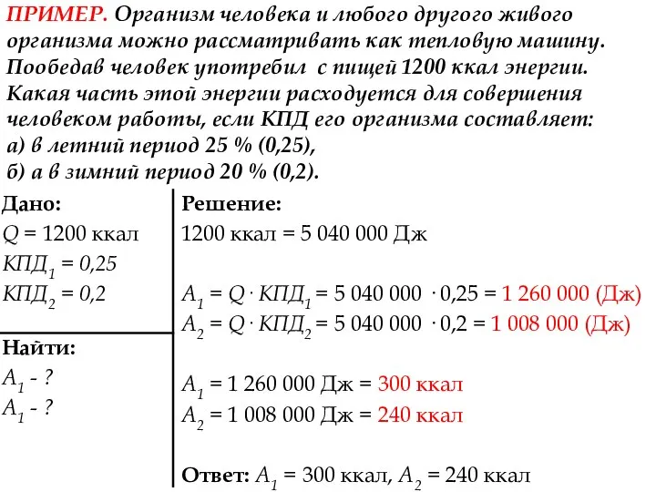 ПРИМЕР. Организм человека и любого другого живого организма можно рассматривать как